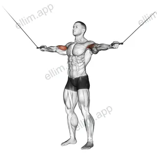Cable Standing Inner Curl exercise targeting Upper Arms and Biceps Brachii