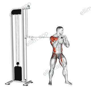 Cable Standing Jab exercise targeting Plyometrics