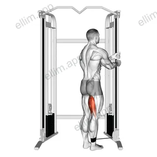 Cable Standing Leg Curl exercise targeting Thighs