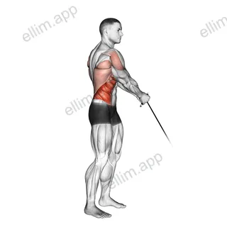 Cable Standing Lift exercise targeting Waist and Obliques