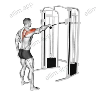 Cable Standing One Arm Face Pull exercise targeting Shoulders