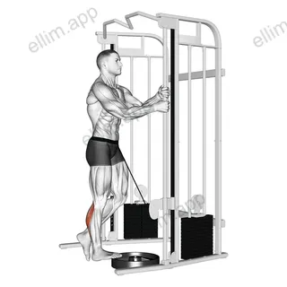Cable Standing One Leg Calf Raise exercise targeting Calves and Gastrocnemius