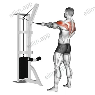 Cable Standing Rear Delt Horizontal Row (with rope) exercise targeting Shoulders and Deltoid Posterior