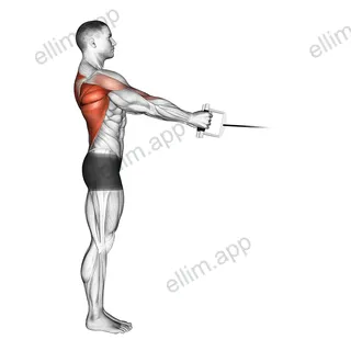 Cable Standing Row (V bar) exercise targeting Back