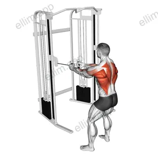 Cable Standing Row exercise targeting Back and Infraspinatus