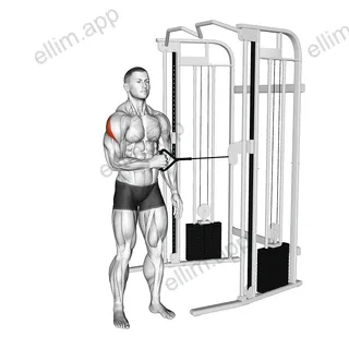 Cable Standing Shoulder External Rotation exercise targeting Back and Teres Major