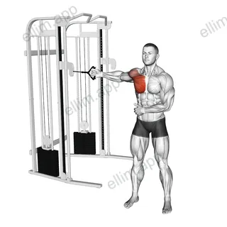 Cable Standing Single Arm Fly exercise targeting Chest