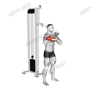 Cable Standing Single Arm Horizontal Triceps Extension exercise targeting Upper Arms