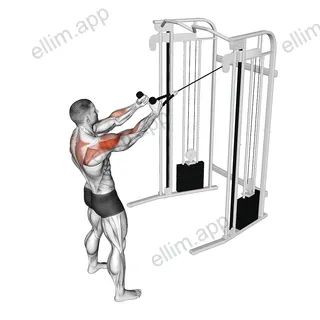 Cable Standing Supinated Face Pull (with rope) exercise targeting Shoulders