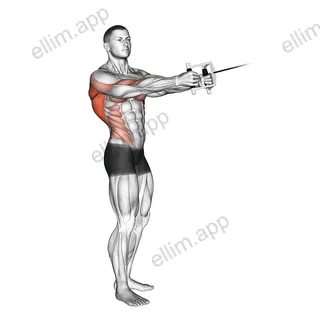 Cable Standing Twist Row (V bar) exercise targeting Waist