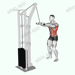Cable Thibaudeau Kayak Row exercise targeting Latissimus Dorsi and Obliques