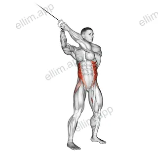 Cable twist (up down) exercise targeting Waist