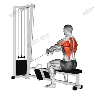 Cable Upper Row exercise targeting Back and Infraspinatus