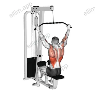 Cable Wide Pulldown exercise targeting Back and Latissimus Dorsi