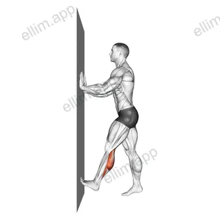 Calf Push Stretch With Hands Against Wall exercise targeting Calves and Gastrocnemius