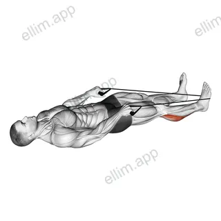 Calf Stretch with Rope exercise targeting Calves and Gastrocnemius