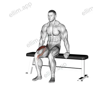 Chair Leg Extended Stretch exercise targeting Thighs