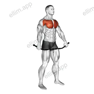 Chest and Front of Shoulder Stretch exercise targeting Chest and Deltoid Anterior