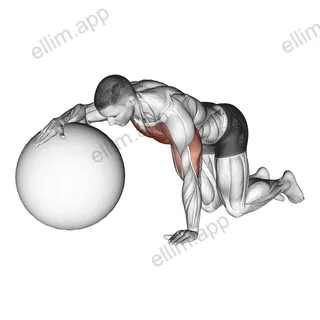 Chest Stretch with Exercise Ball exercise targeting Chest and Pectoralis Major Sternal Head