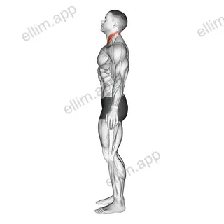 Chin Tuck exercise targeting Neck