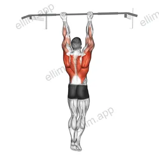 Chin-Up Around the Bar exercise targeting Back