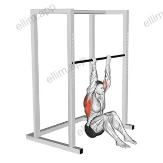 Chin up (in squatting position) exercise targeting Back