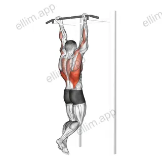 Chin Up exercise targeting Back