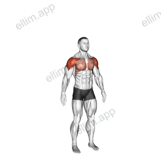 Circles Arm exercise targeting Shoulders and Deltoid Anterior