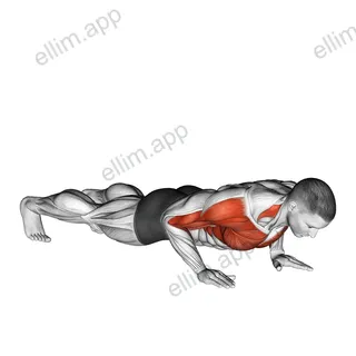 Clap Push Up exercise targeting Plyometrics