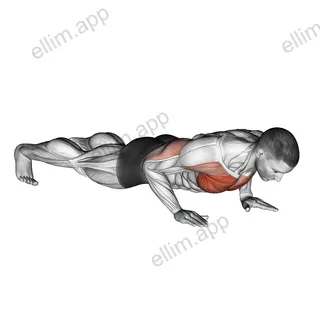 Clock Push Up exercise targeting Chest