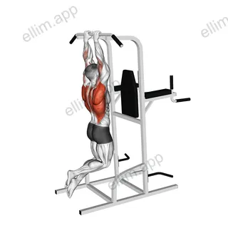 Close Grip Pull-Up exercise targeting Back