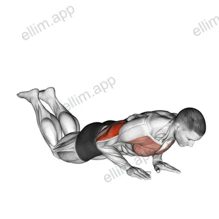 Close-grip Push-up (on knees) exercise targeting Upper Arms and Triceps Brachii