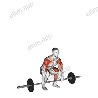 Cluster exercise targeting Weightlifting