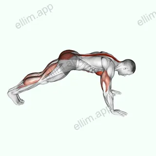 Cobra Push up exercise targeting Chest and Hips