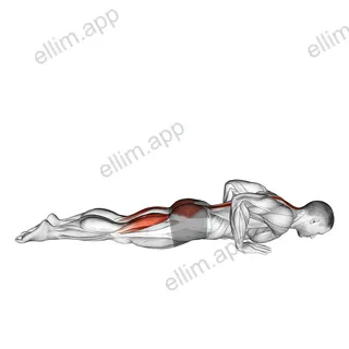 Cobra Yoga Pose exercise targeting Waist and Rectus Abdominis