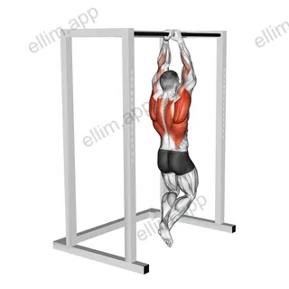 Commando Pull up exercise targeting Back and Waist