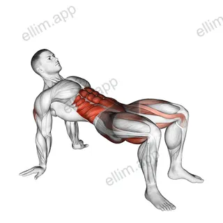 Crab Twist Toe Touch exercise targeting Waist and Gluteus Maximus