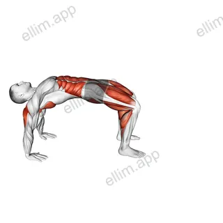 Crab Walk exercise targeting Plyometrics