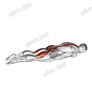Crocodile Yoga Pose exercise targeting Stretching