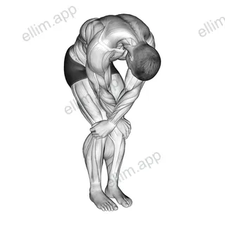 Cross over shoulder stretch exercise targeting Back