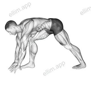 Crouching Heel Back Calf Stretch exercise targeting Calves