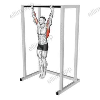 Dead Hang Stretch exercise targeting Stretching and Infraspinatus