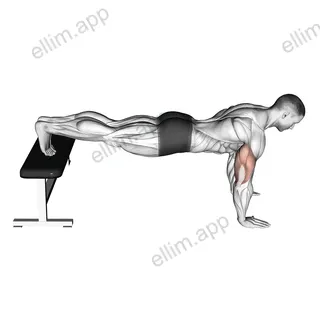 Decline Push Up exercise targeting Chest and Pectoralis Major Clavicular Head