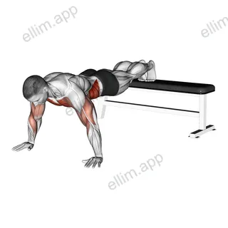Decline Shoulder Tap exercise targeting Chest and Obliques