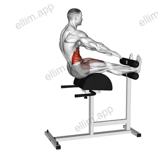 Decline Sit-up and Russian Twist exercise targeting Waist