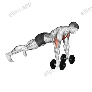 Deep Push Up exercise targeting Chest and Pectoralis Major Sternal Head