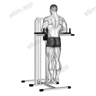 Depression In Parallel Bars Stretch exercise targeting Back