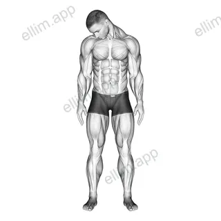 Diagonal Flexion Neck Stretch exercise targeting Neck