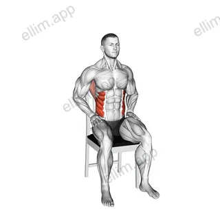 Diagonal Reach on Chair exercise targeting Waist