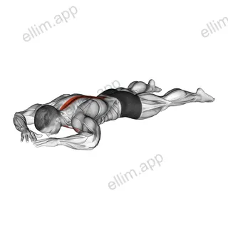 Diamond Press exercise targeting Erector Spinae and Pectoralis Major Clavicular Head
